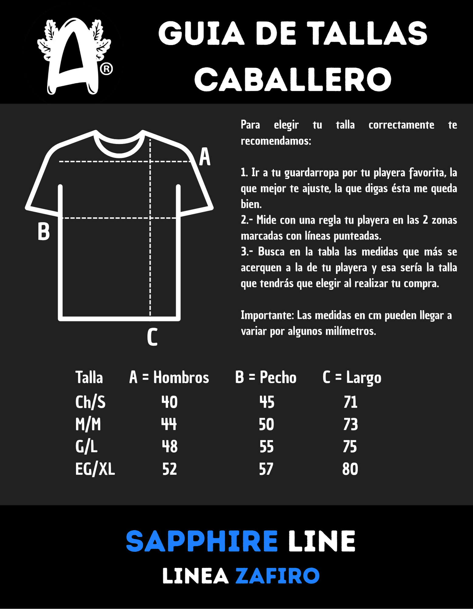 Playera Negra Hombre – Capibara con Lentes Cool | Minimalismo Urbano