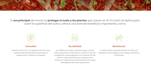 Mulch Decorativo para Jardín – Cobertura para Plantas