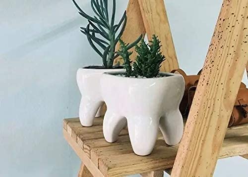 Maceta de Cerámica Forma de Muela – Artesanal Hecha en México