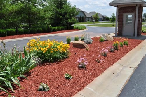 Mulch Decorativo para Jardín – Cobertura para Plantas