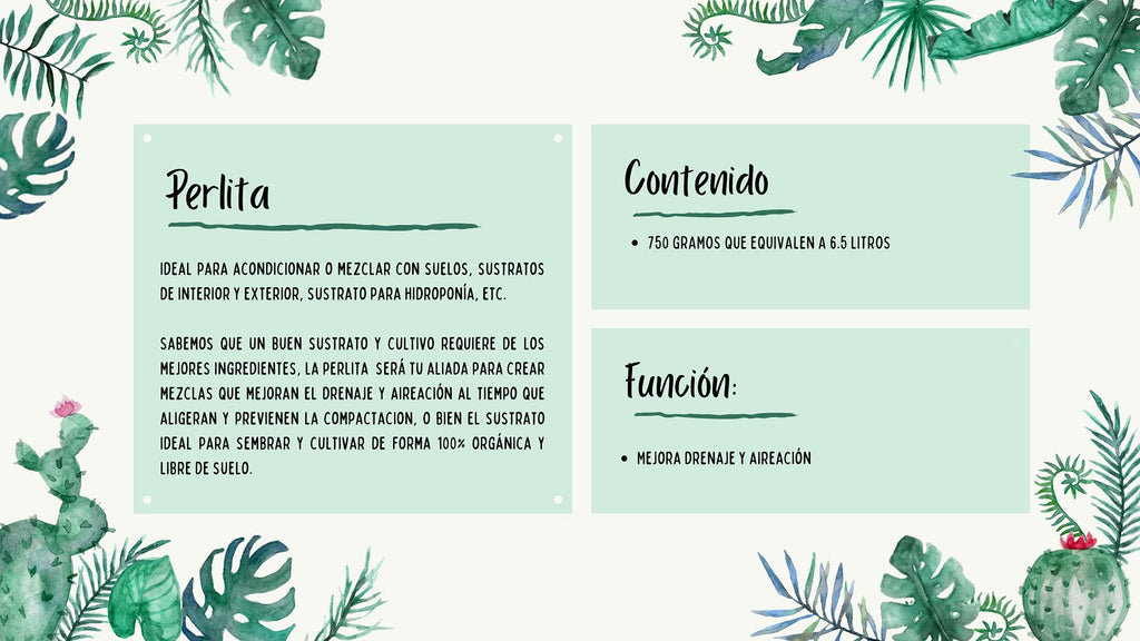 Perlita (Agrolita) Orgánica 6.5L – Sustrato Multipropósito