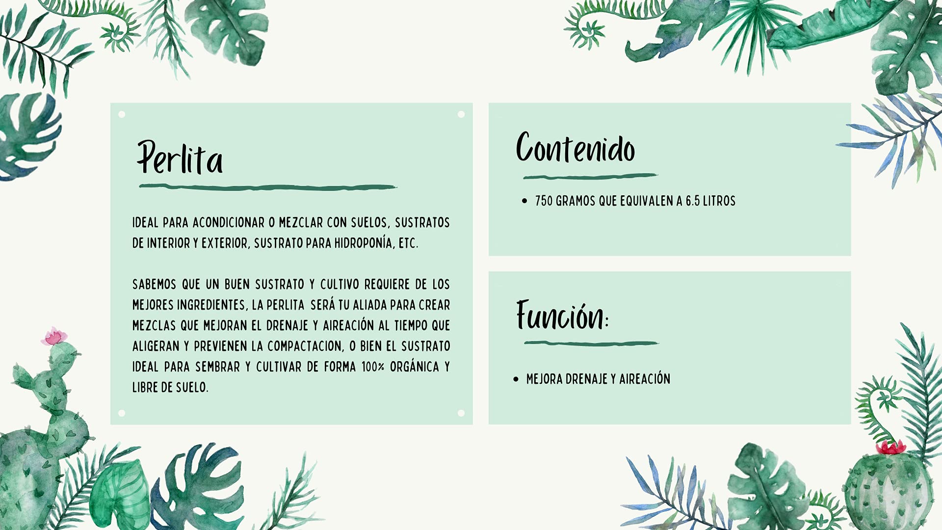 Perlita (Agrolita) Orgánica 6.5L – Sustrato Multipropósito