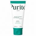 Purito SEOUL - Mighty Bamboo Panthenol Cream | Crema 100 ml