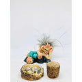 Troll Felicidad +comedero Y 5.5cm Figura En Resina Nacional Variado