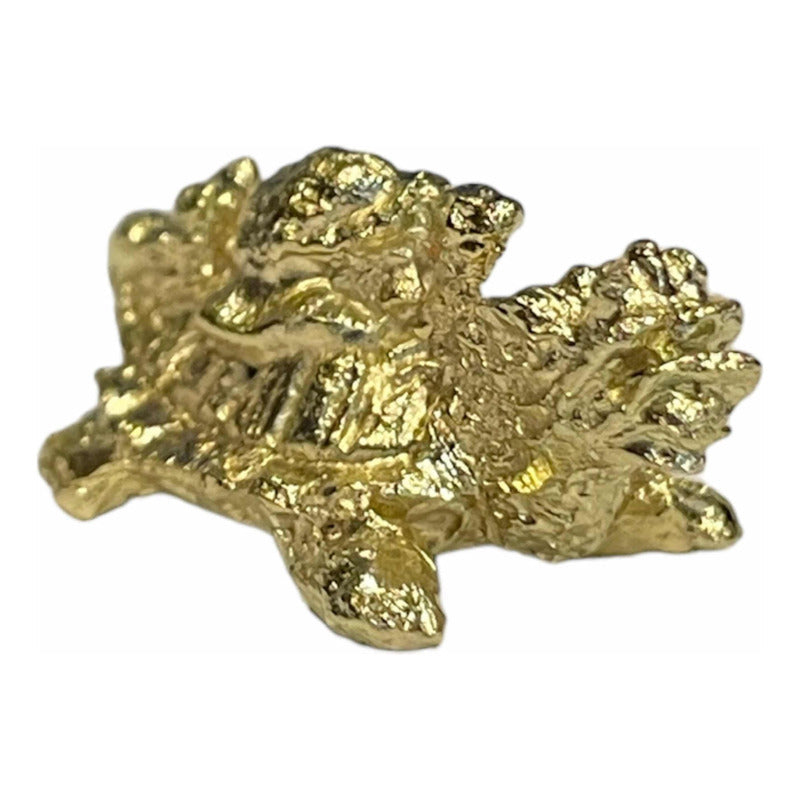 Tortuga Dragón Amuleto Dorado