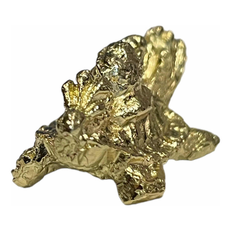 Tortuga Dragón Amuleto Dorado