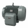 Motor Eléctrico Industrial de Servicio Severo 125 HP 1790 RPM North American Electric