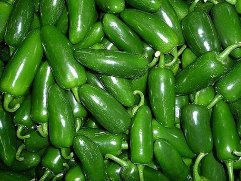 Semillas de Chile Jalapeño – 1/4 Libra, +20,000 Semillas