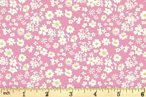 1/2 metro de Mini Margaritas blancas sobre rosa Flores Lewis & Irene